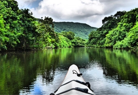 アクティビティ