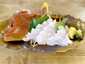 居酒屋イチタカで釣った魚を調理